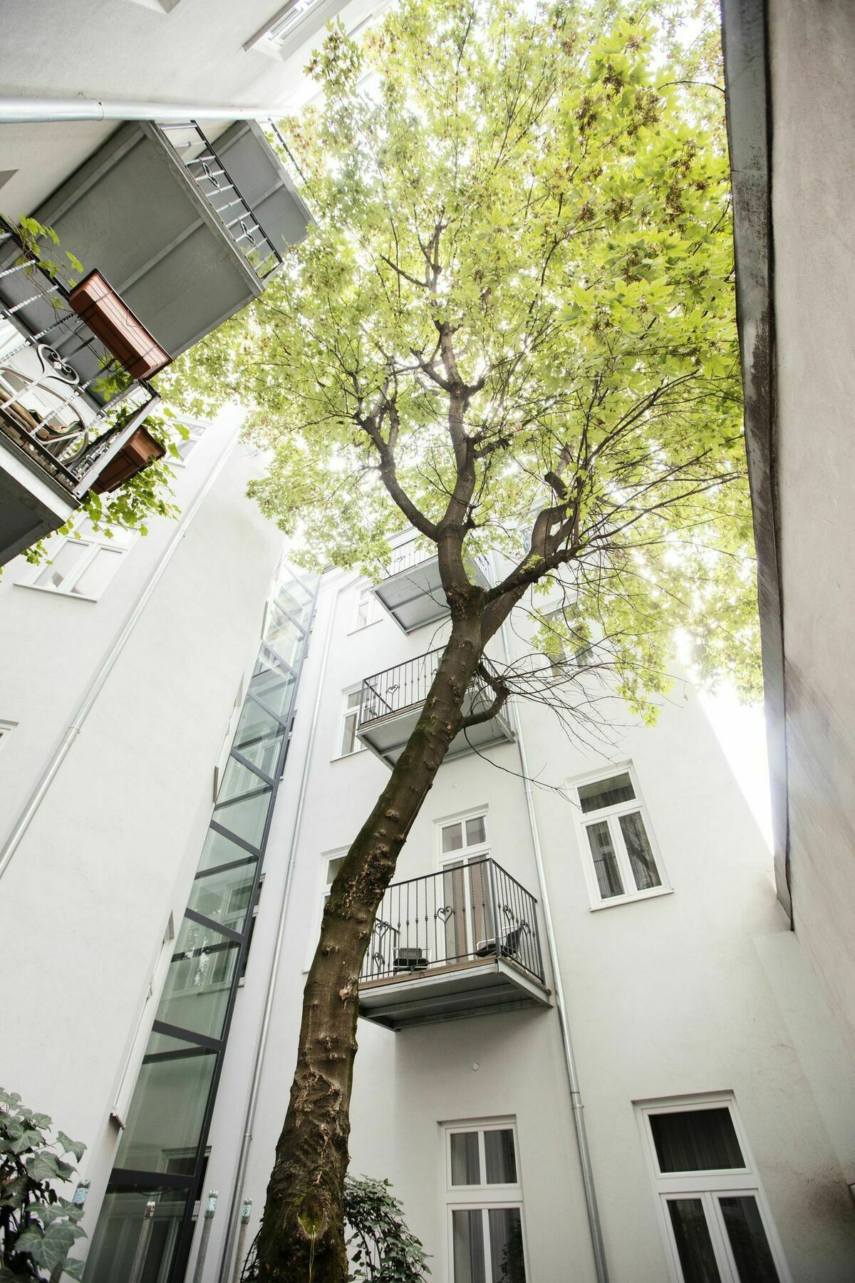 Appartamento Nestroygasse Vienna