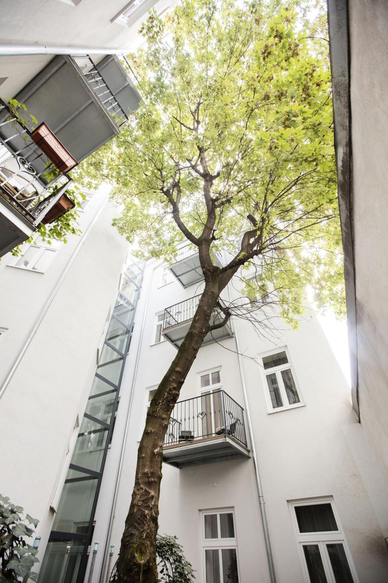 Appartamento Nestroygasse Vienna